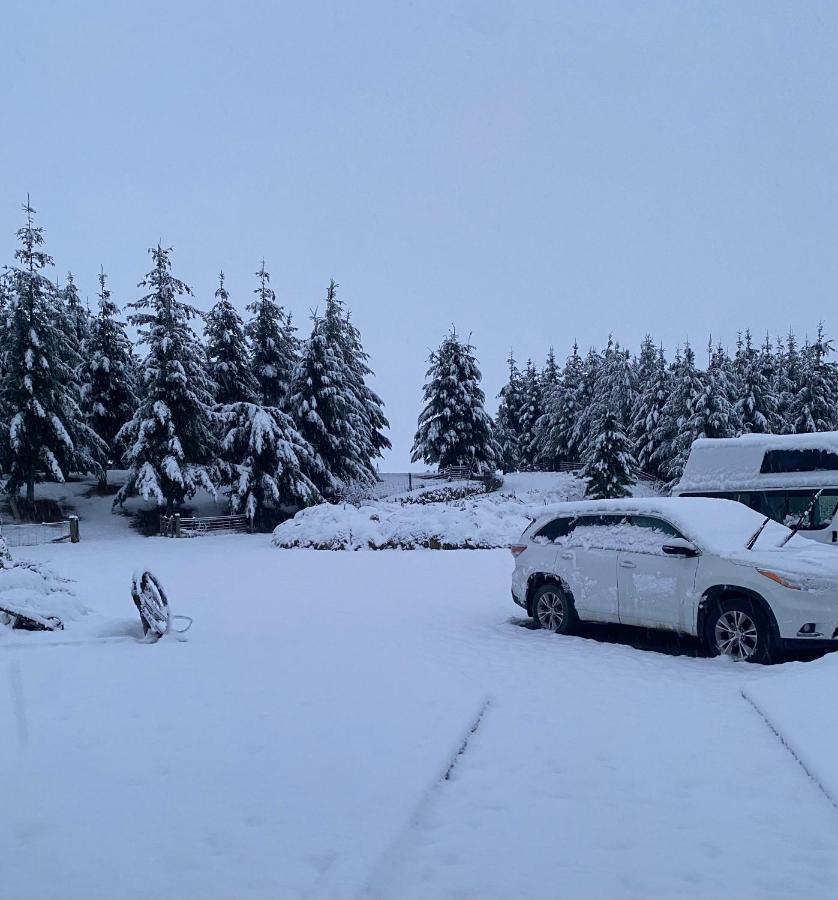 Ben Ohau Villa Twizel Esterno foto