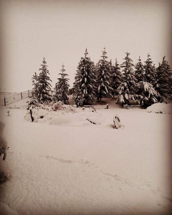 Ben Ohau Villa Twizel Esterno foto